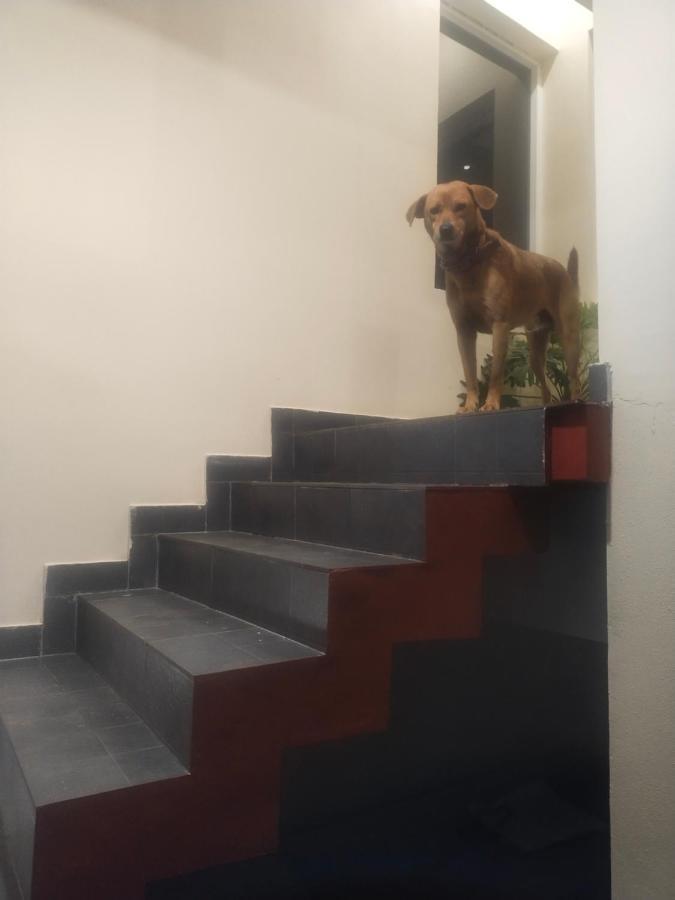 Two Bedroom House Madikeri Esterno foto